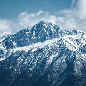 Meet your Posher, Trevor